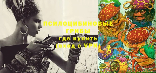 эйфоретик Бородино