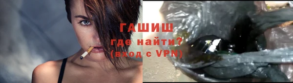 эйфоретик Бородино