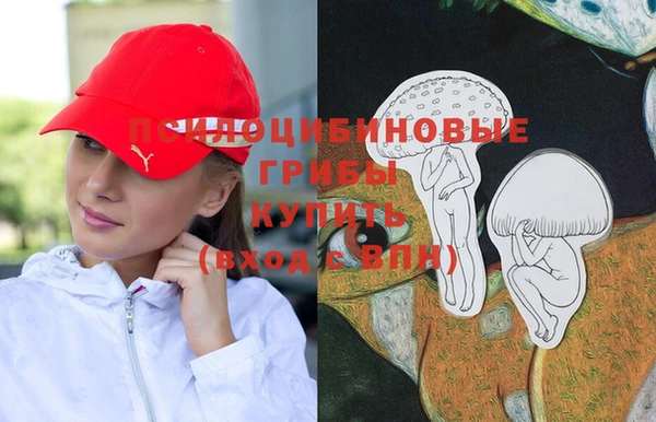 а пвп мука Бронницы
