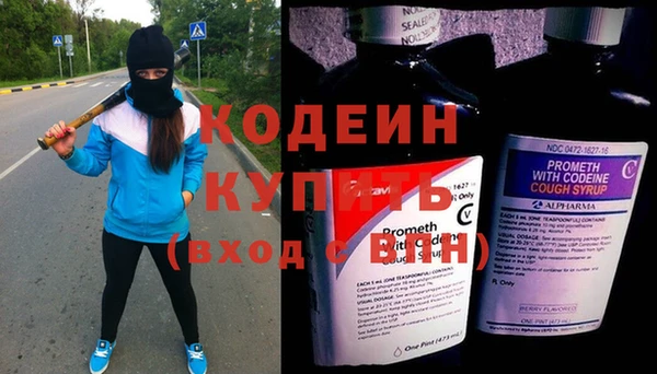 эйфоретик Бородино