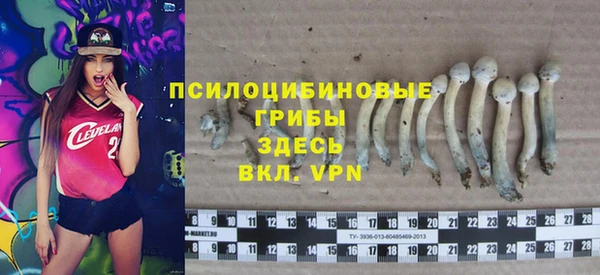 эйфоретик Бородино